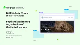 FAO: 2022 Website of the Year Award Winner | Public Sector
