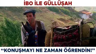 İbo ile Güllüşah Türk Filmi | İbo'nun Eşeği Kadife Dile Geliyor!