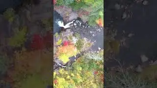 Beautiful Autumn waterfall and birds relaxing sound #Shorts