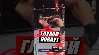 🤯 ГЛУХОЙ НОКАУТ НА HFC MMA 