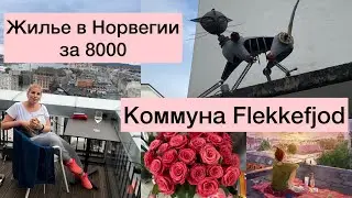 СОЦИАЛЬНОЕ ЖИЛЬЁ для беженцев в Норвегии за 8000 крон коммуна Flekkefjord (Флеккефьёрд).