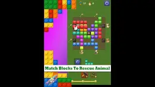 Block Puzzle 2020- Animal Rescue Saga level