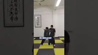 Baji Quan 