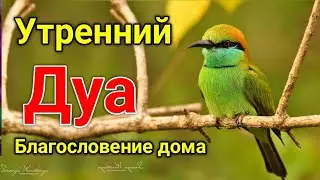 утренний дуа. дуа каждое утро