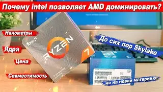 Почему intel позволяет AMD доминировать?