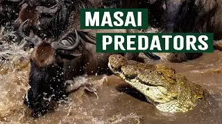 Masai Mara: Epic Wildlife Battles During The Great Migration