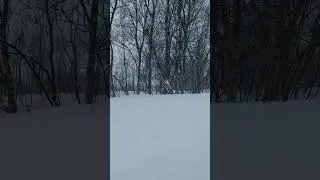 winter зима