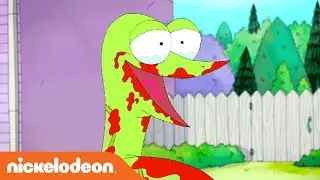 Sanjay and Craig | Real Snake vs. Craig | Nick