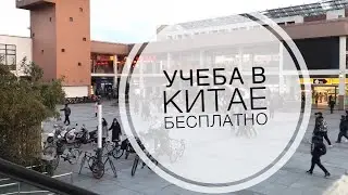 Учеба в Китае бесплатно на английском или со слабым китайским / грант на обучение в Шанхае