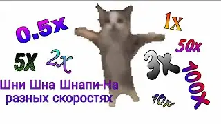 Шни Шна Шнапи-На разных скоростях