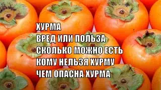 Осторожно Хурма Польза и вред Хурмы