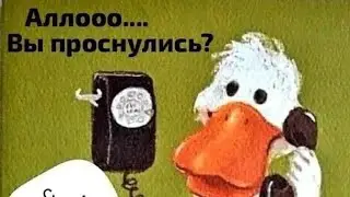Посиделки Вы проснулись?!  2024.09.07