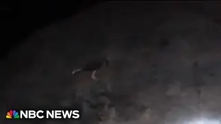 Video shows rescue crew saving man clinging to California cliff