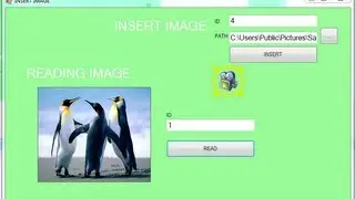 Insert and Read Images in c# - Part 1