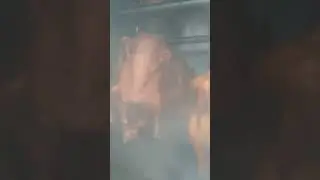 smoked chicken