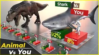 Animal vs You Comparison 2024