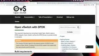 Open vSwitch with DPDK vhostuser vs vhostuserclient port for BIG-IP VM