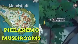 Where To Farm & find philanemo mushrooms locations Genshin impact
