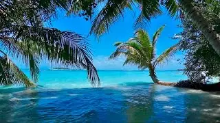 Música Relajante - Naturaleza - Relajarse, Dormir