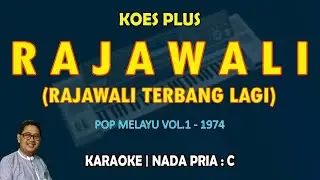 Rajawali - Koes Plus KARAOKE nada pria C