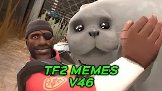 TF2 MEMES V46