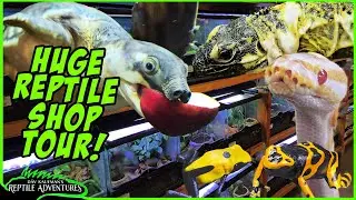 TOURING THE BIGGEST REPTILE SHOP IN COLORADO!