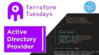 Terraform Active Directory Provider - Daily Check-In for August 18, 2020