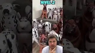 ¿PUEDES ENCONTRAR EL PERRO REAL? 😱🐶 