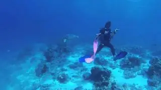 Diving in Borneo