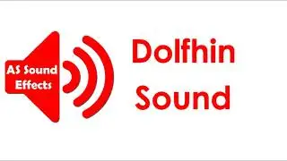 Dolphin SOund No Copyright- AS Sound Effects 2021