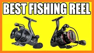 Top 5 Best Fishing Reel in 2024