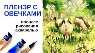 Как нарисовать пейзаж акварелью с овечками. Записать пленэра