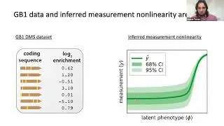 [Ammar Tareen] MAVE-NN: learning genotype-phenotype maps from MAVE