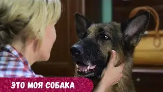 Брошенная собака предотвращает самоубийство преданной женщины.Это моя собака. Фильм цепляет за душу.