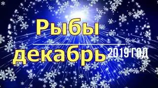 Рыбы декабрь 2019 год