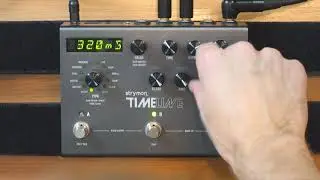 Why the Strymon Timeline Looper is so cool!