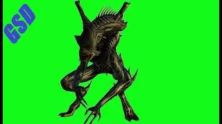 Alien Xenomorph Raven (Warrior/Lurker Crossed) Green Screens