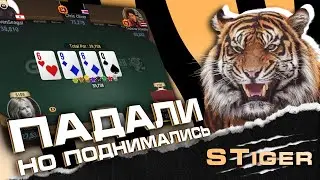 Андрей “STiger” Новак ХАЙЛАЙТЫ СО СТРИМОВ 3.