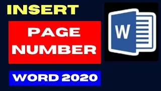 Insert Page Number on Word 2020 on Windows 11 / 10