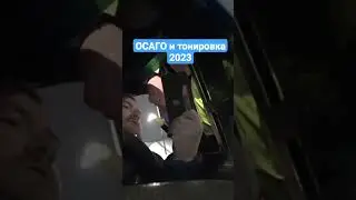 Полис ОСАГО