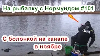 С болонкой на канале в ноябре. На рыбалку с Нормундом #101