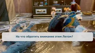 На что обратить внимание этим Летом?