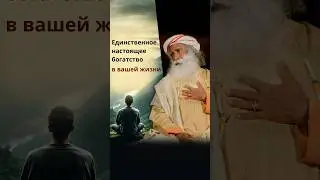 Единственное настоящее богатство в вашей жизни