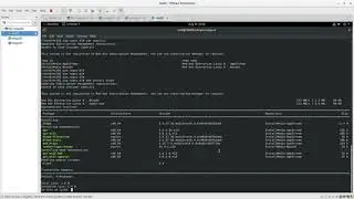 Ansible Command Examples (ad-hoc, Playbook)