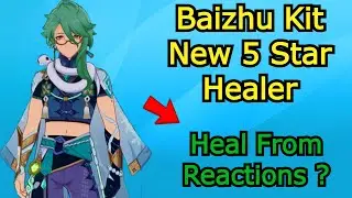 baizhu Kit a New Reaction Type Healer ?