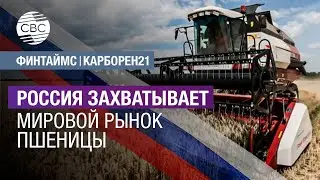 Россия захватывает мировой рынок пшеницы