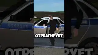 КАК ОТРЕАГИРУЮТ НА ПРЕЗИДЕНТА МЕНТА В МАТРЕШКА РП  #матрешкарп #крмп