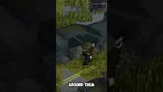 I Wish I Knew About These Project Zomboid Mods Sooner