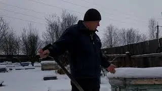 ОТЛИЧНАЯ ЗИМОВКА ПЧЕЛОСЕМЕЙ НА ВОЛЕ, МОИ ОСНОВНЫЕ ТРИ ФАКТОРА🔥🔥🔥