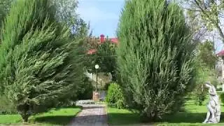 Весна в ОСМД Хорловское